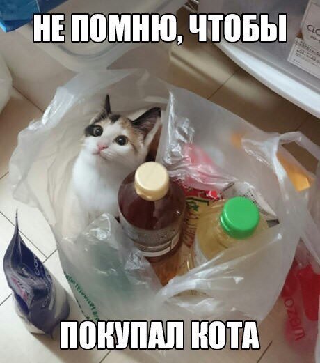 Анекдоты, поднимающие настроение в начале недели