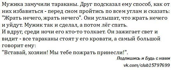 Правдивый анекдот про мужа и жену