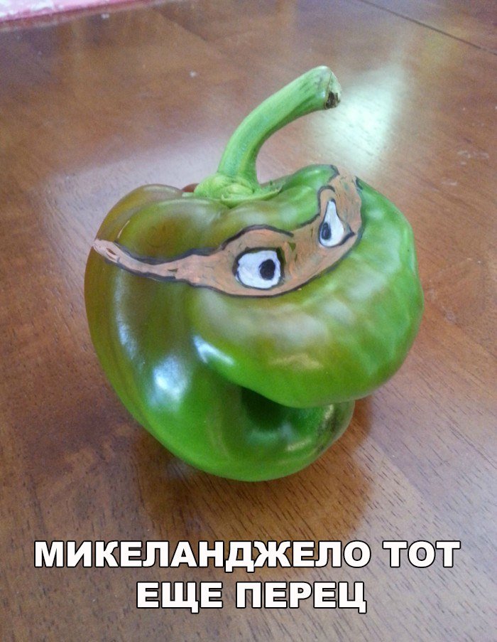Анекдоты дня