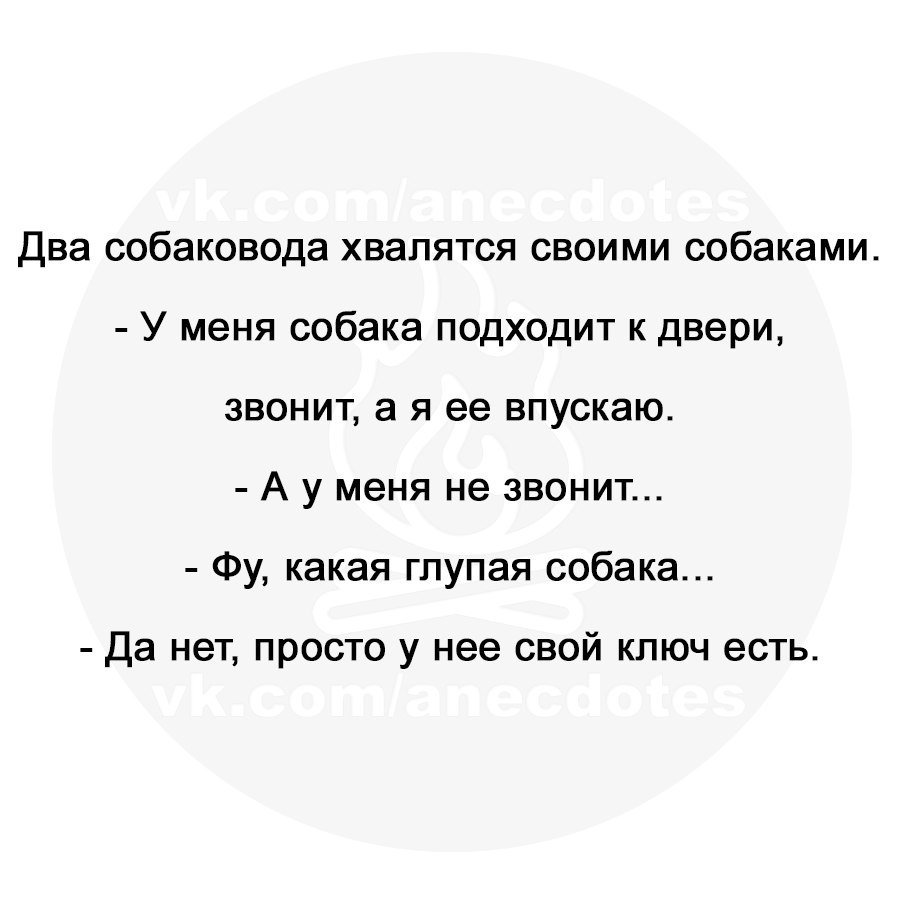 Анекдоты дня