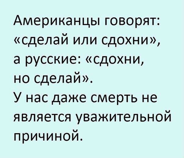 Анекдоты дня