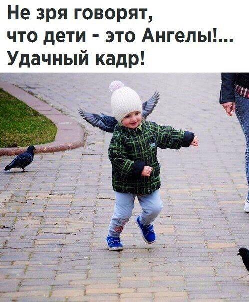 Анекдоты дня
