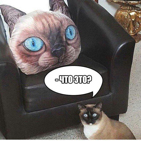 Анекдоты выходных