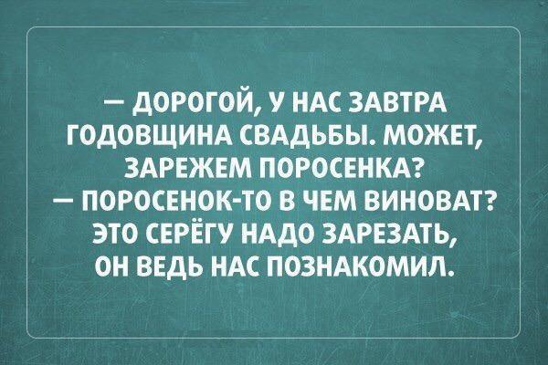 Анекдоты дня