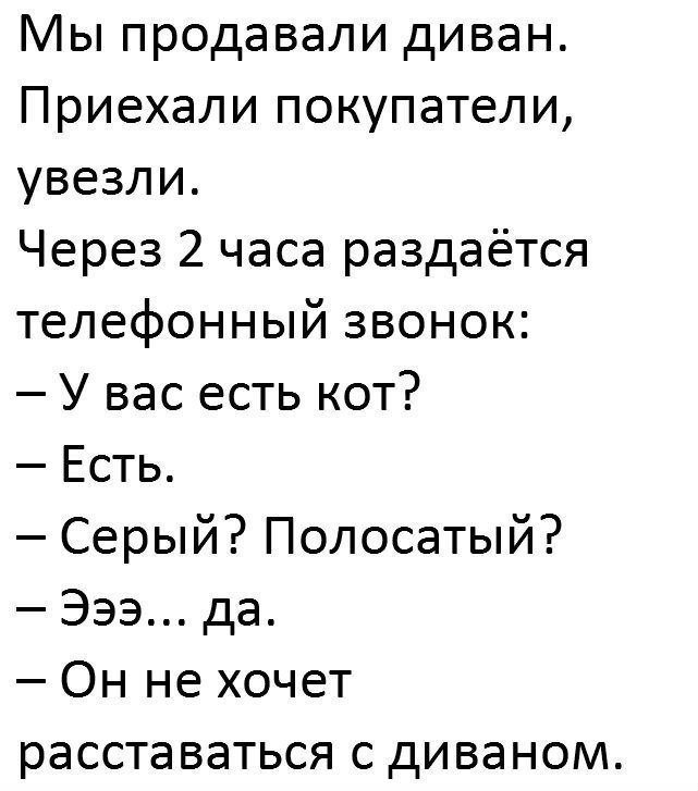 Хорошие анекдоты