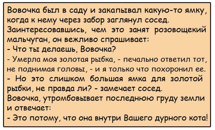 Анекдоты дня