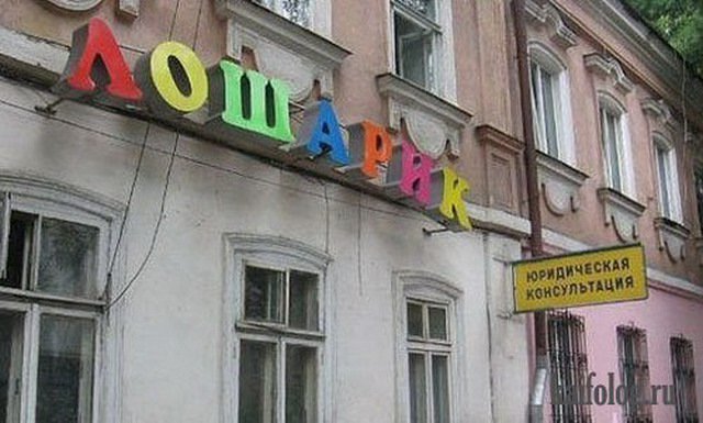 Анекдоты дня