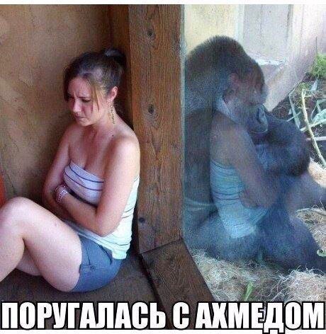Отличные анекдоты