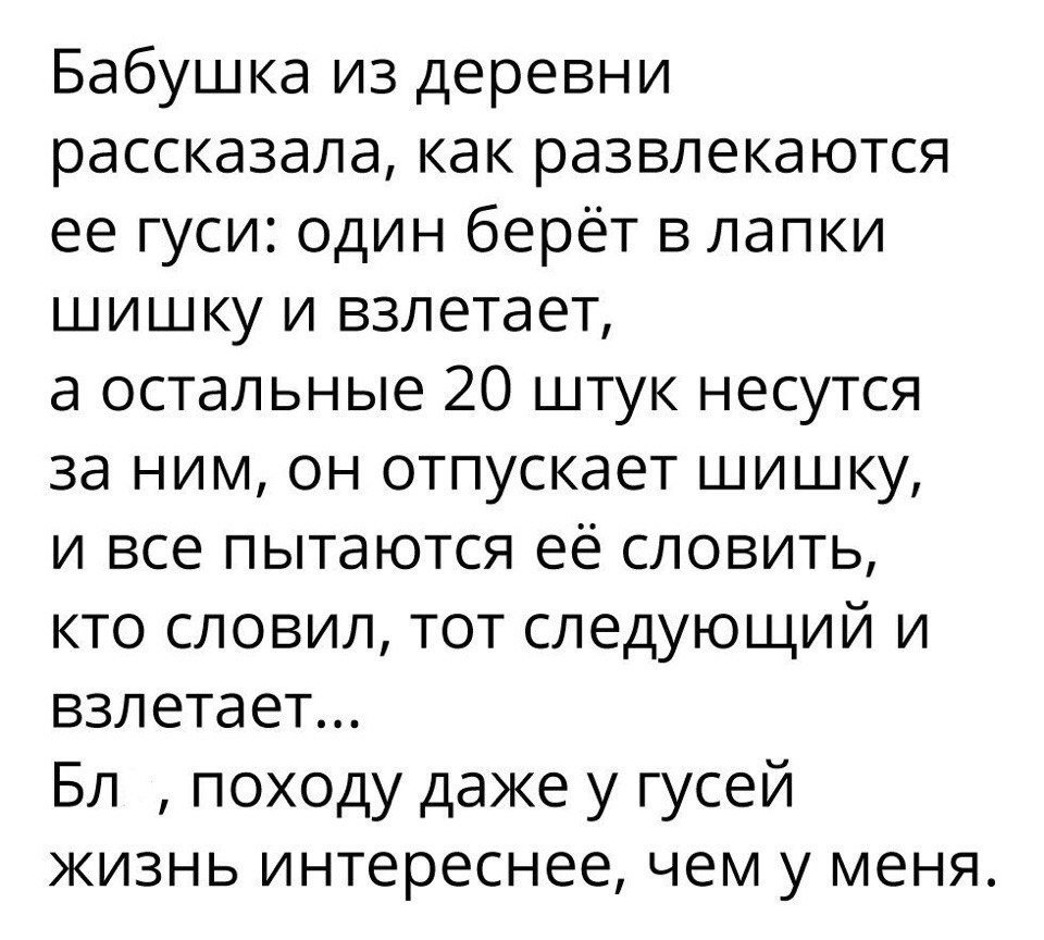 Анекдоты