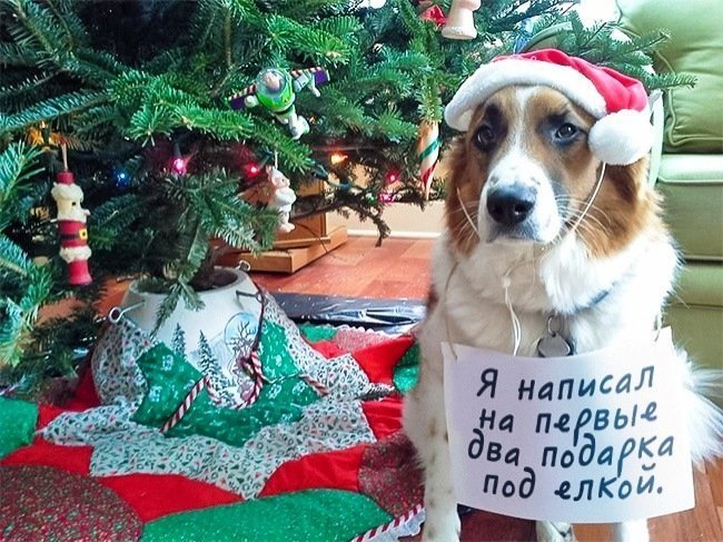 Смешные анекдоты