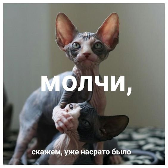 Смешные анекдоты