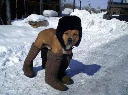 Смешные анекдоты