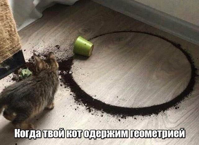Порция убойного юмора