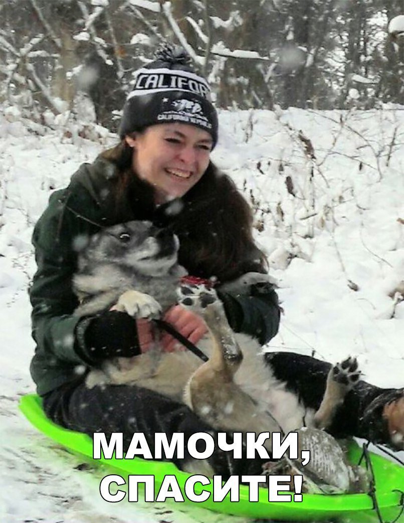 Анекдоты