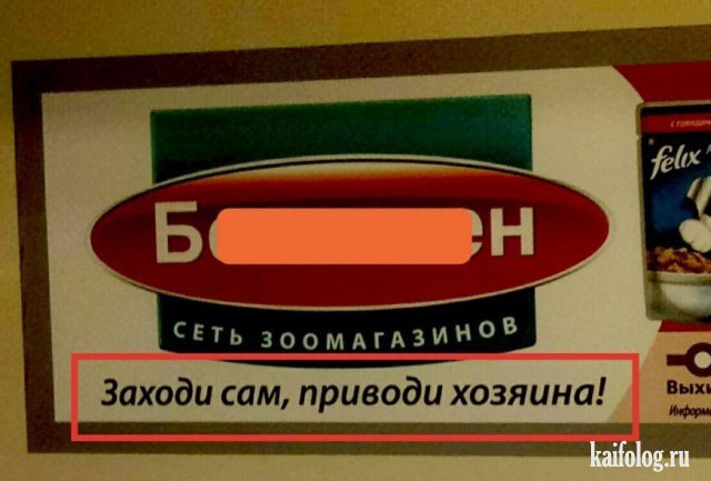 Анекдоты
