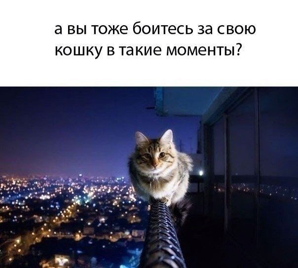 Хорошие анекдоты