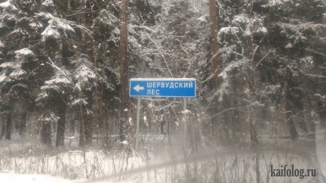 Анекдоты
