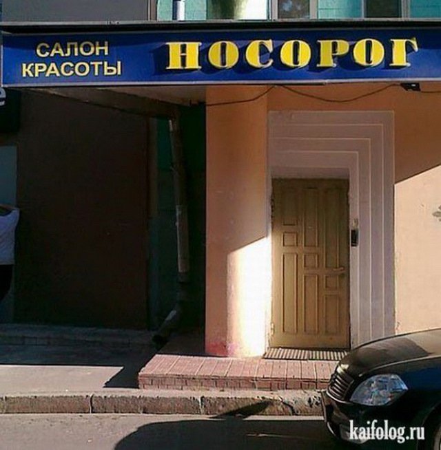 Анекдоты дня