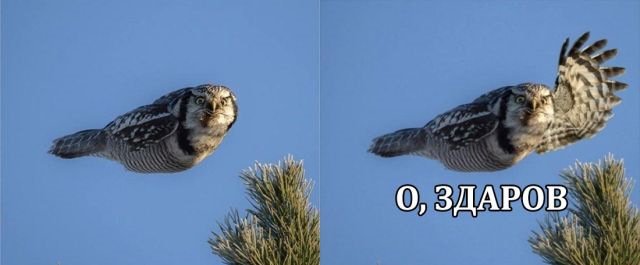 Анекдоты