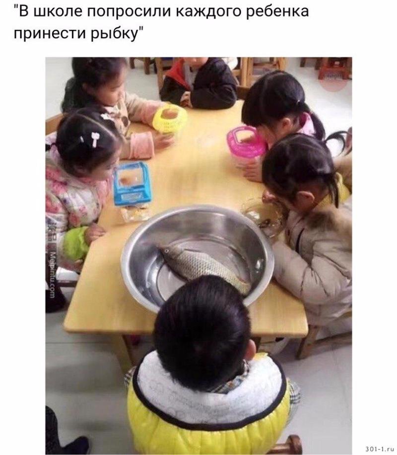 Отличные анекдоты