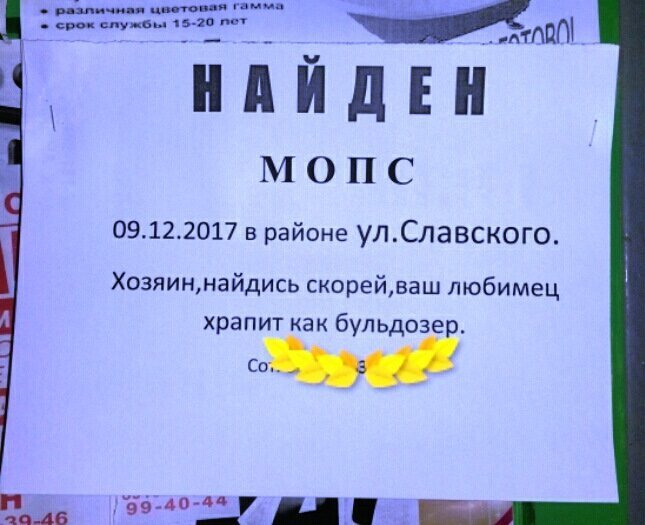 Лучшие анекдоты