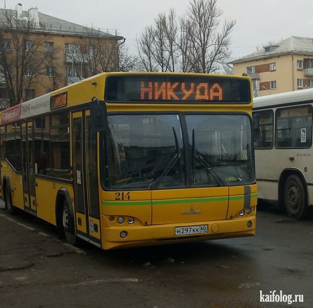 Порция хорошего юмора