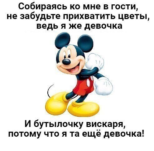 Анекдоты дня