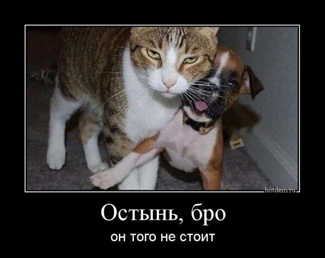 Анекдоты