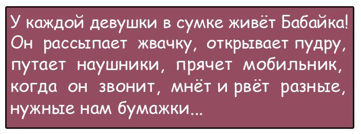 Анекдоты дня