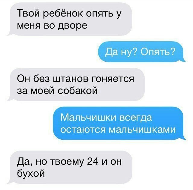 Анекдоты дня