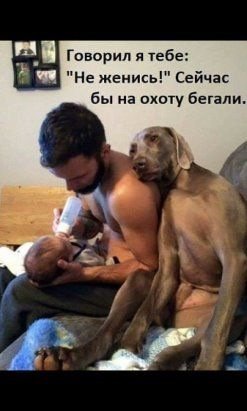 Анекдоты