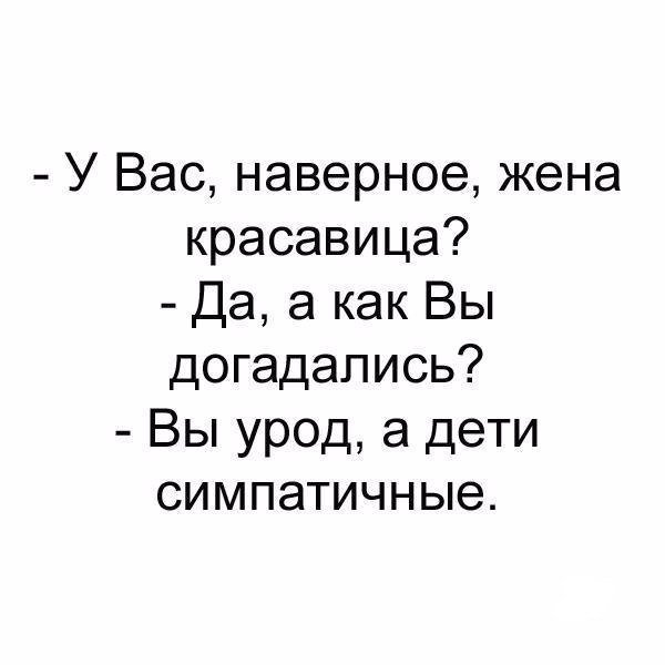 Анекдоты дня