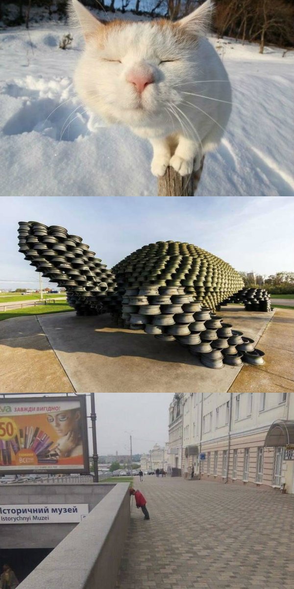 Анекдоты