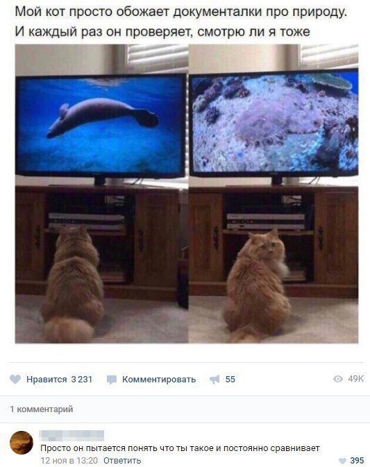 Отличные анекдоты