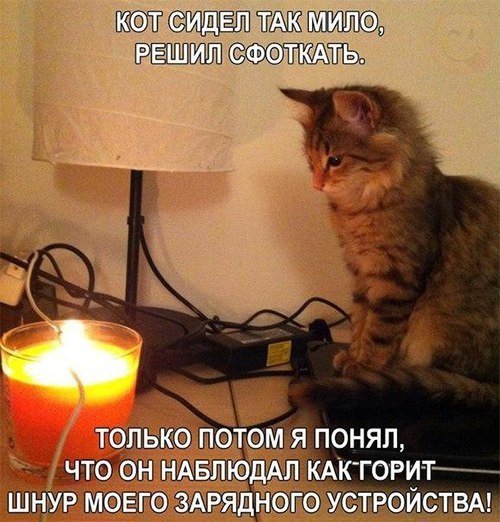 Смешные анекдоты