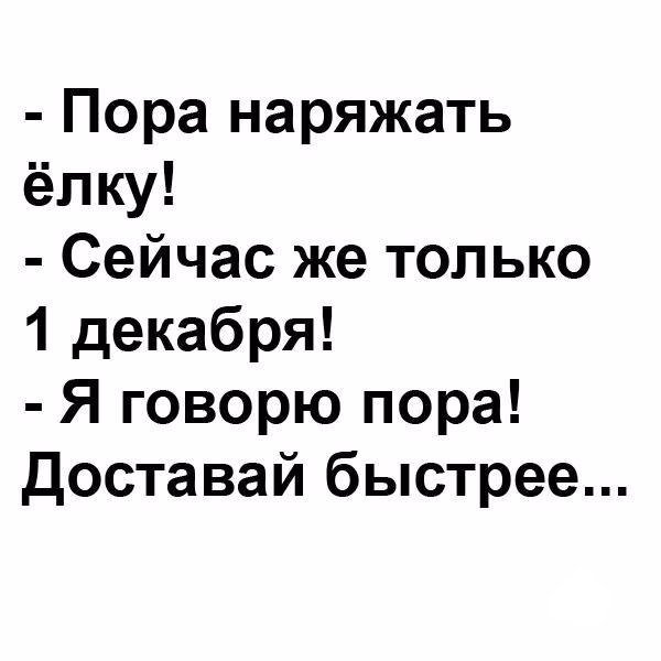 Анекдоты дня