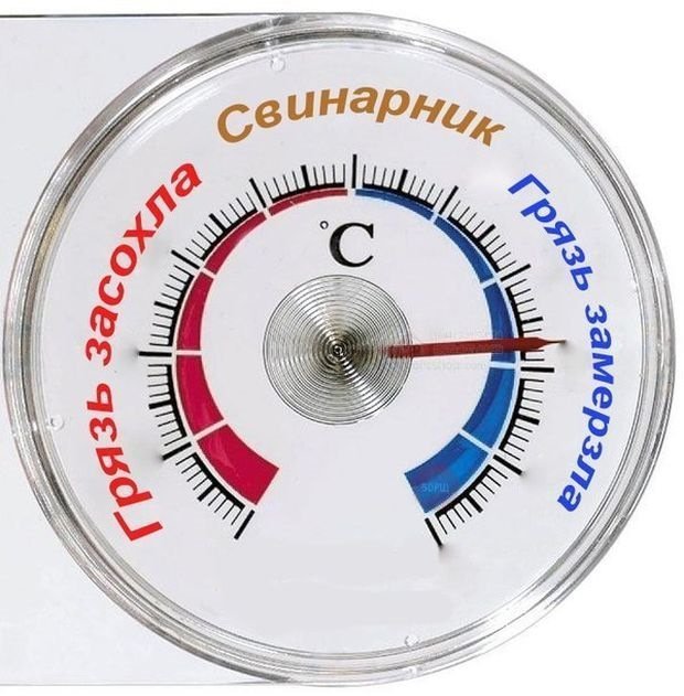 Смешные анекдоты