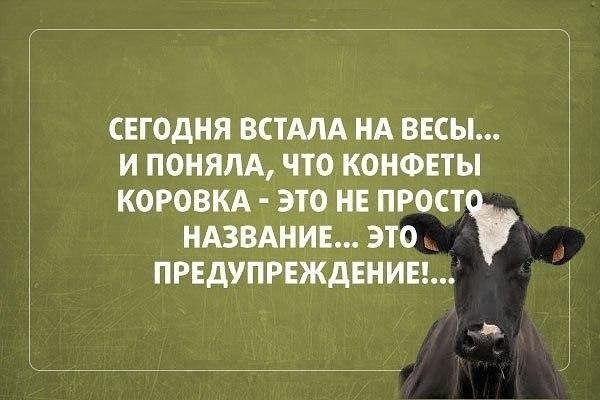Анекдоты дня