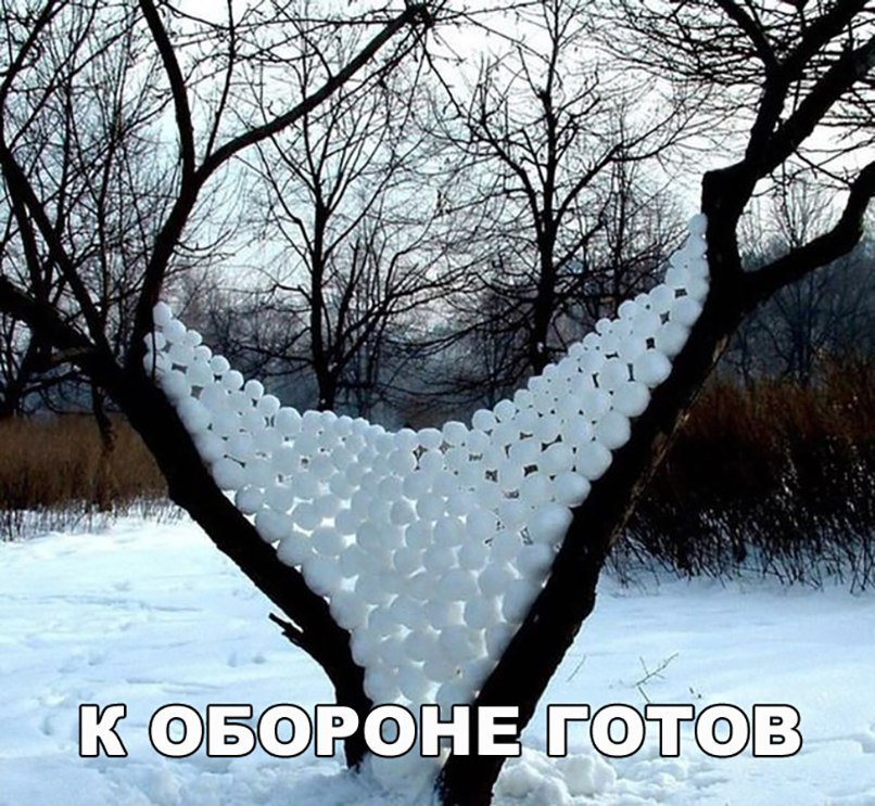 Анекдоты