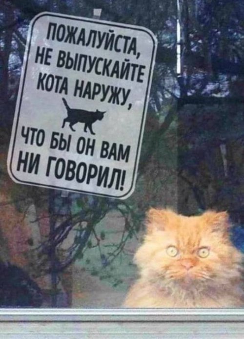 Хорошие анекдоты