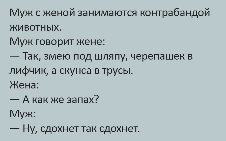 Лучшие анекдоты