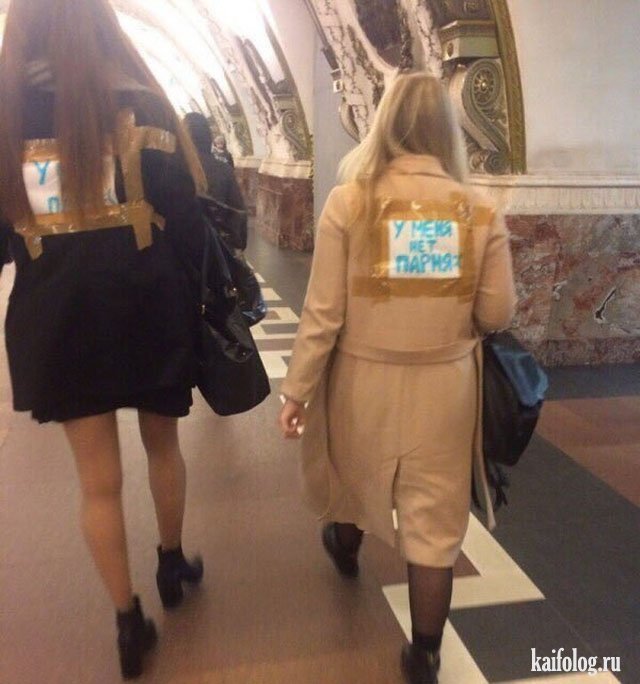 Анекдоты дня