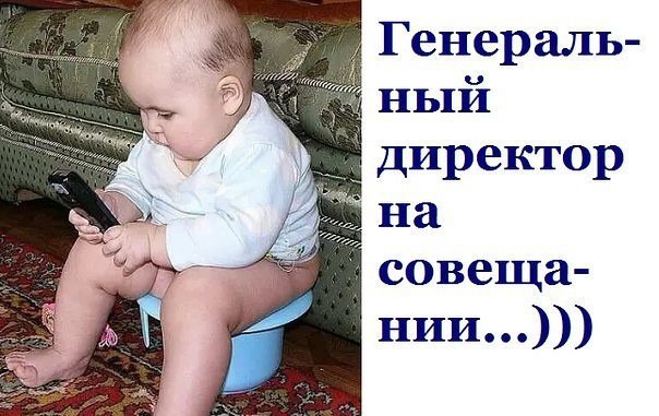 Анекдоты дня