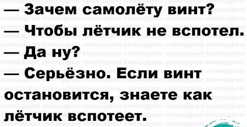 Анекдоты дня