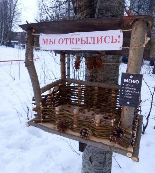 Анекдоты