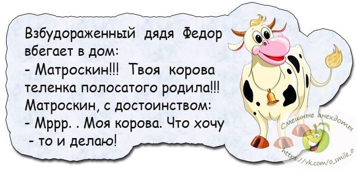 Анекдоты дня