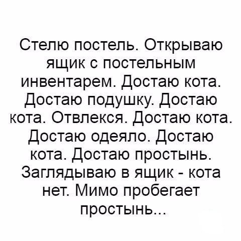 Анекдоты дня