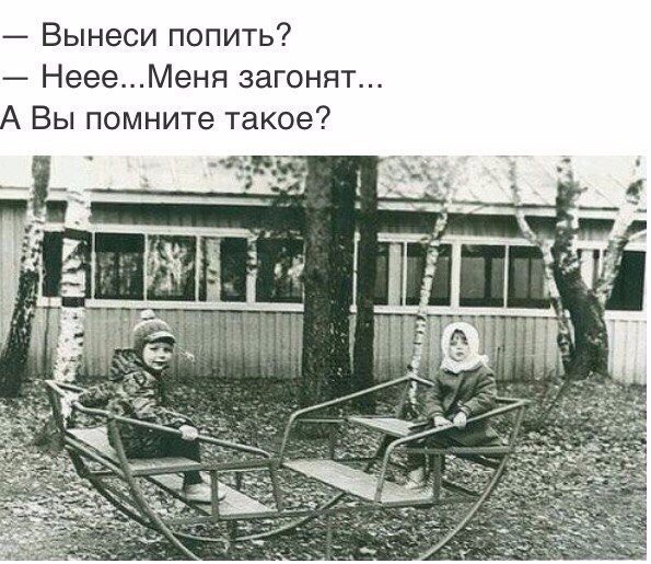 Анекдоты дня