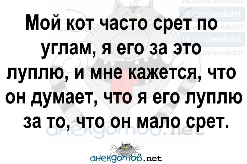 Анекдоты