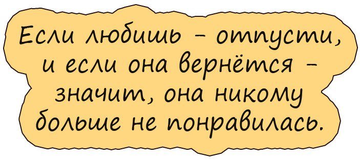 Анекдоты дня